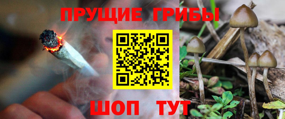 Псилоцибиновые грибы MAGIC MUSHROOMS  даркнет сайт  Вологда  Вход с VPN 